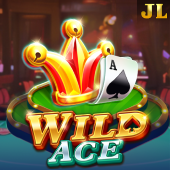 Wild Ace playtime apps slot